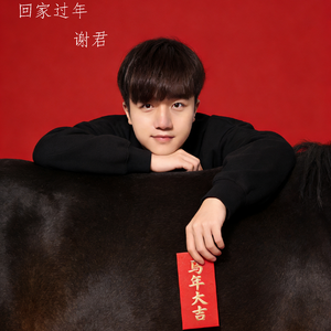 《回家过年》-谢君MMM