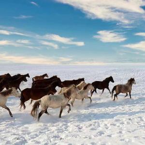 我还是不能够悲伤