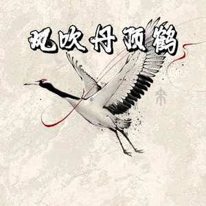 风吹丹顶鹤  暴走版