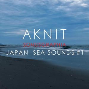 SONUSGRAPHIA / JAPAN SEA SOUNDS #1(豊橋伊古部海岸の音)