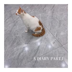 日记 Part.I