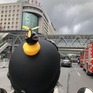 我最后一次回到学校，收拾了桌子里剩下的课本，拍掉你头发上的雨，拥抱，为你唱一首我写的歌，轻轻告别。