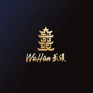 张碧晨-她说（情感中文remix武汉风格）