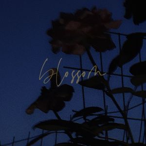 BLOSSOM