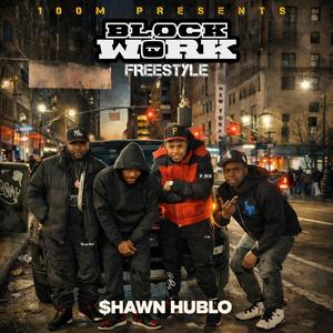 BLOCK WORK TV FREESTYLE (ROC LET ME IN)