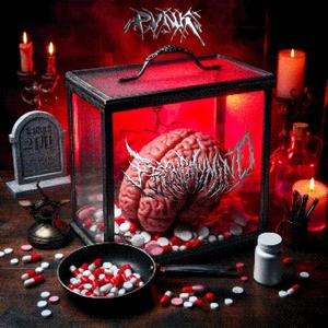 Maggots