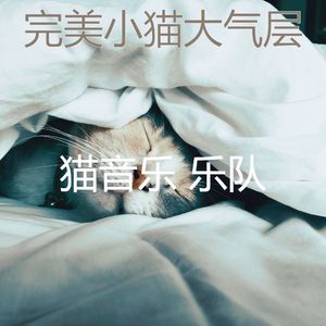 温和小猫梦想