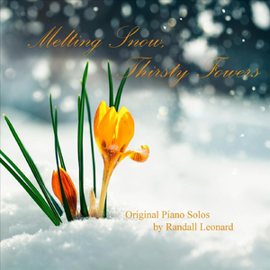 Apple Blossoms in the Air