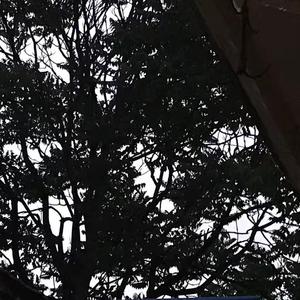 一举成名demo（prod.by BECU BEATZ)