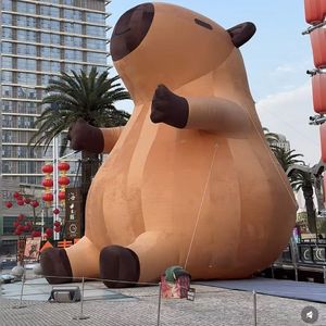 向日葵追逐的夏花之梦