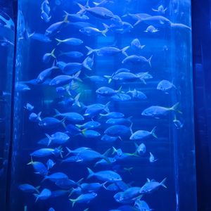 雨（Prod by MORROW）