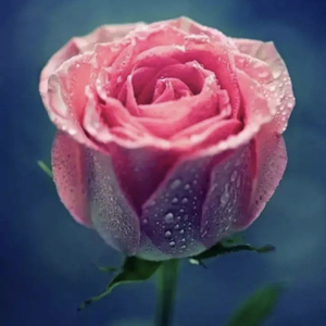 失去一个人最快的方式，就是靠得太近