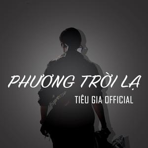Phương Trời Lạ (Lofi/R&B Version)