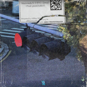 loop (Prod. paexemaker)