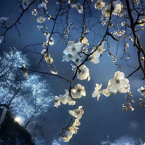 你会等我变成女王的对吗翻唱