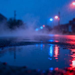 Zanim zniknie świat