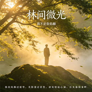 林间微光