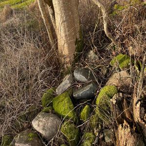 Säg, har du några spänn?