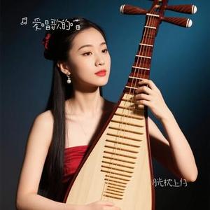 月光枕上归