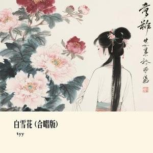 白雪花   (Cover 向思思)