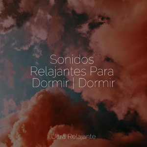 Hamaca En Los Árboles