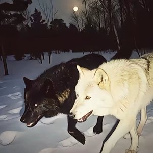 评论家(prod.by Eee.T).wav