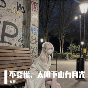 太阳下山有月光