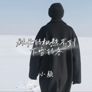 秋天的枫熬不到下雪的冬