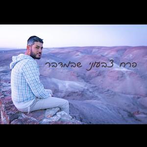 פרח צבעוני שבמדבר