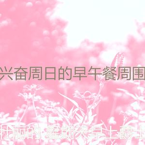 有趣安静的星期日情怀