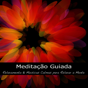 Musicas Calmas para Meditar