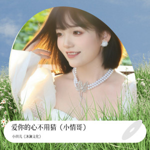 爱你的心不用猜