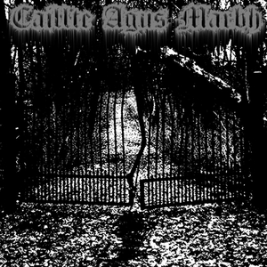 Nightfall Laced with Crimson Skies