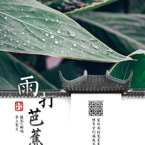 雨打芭蕉（翻自 小曲儿）