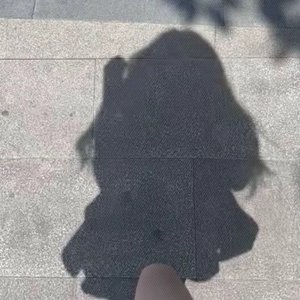 向光问路