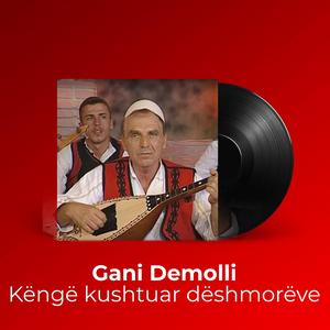 Këngë kushtuar dëshmorëve