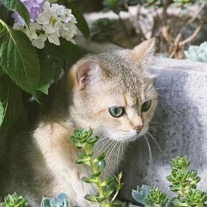 SLOW DOWN（粤语版）