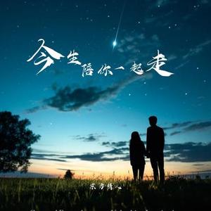 今生陪你一起走 (DJ长梦版)