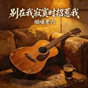别在我寂寞时招惹我