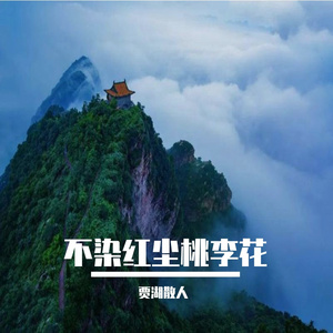 不染红尘桃李花