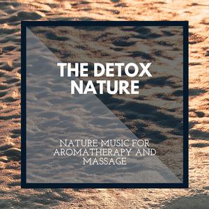 Harmonic Ocean Waves Track