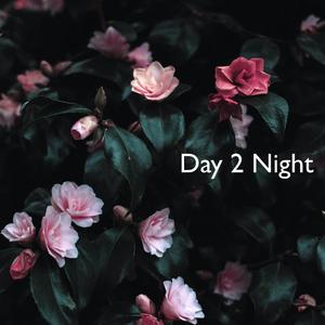 Day 2 Night