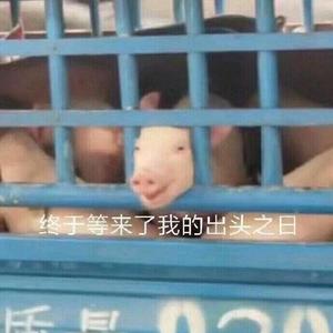 闲野人间（女版）