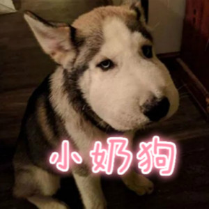 小奶狗