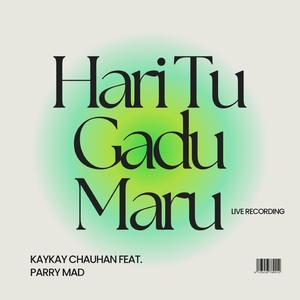 Hari Tu Gadu Maru (feat. Parry Mad)
