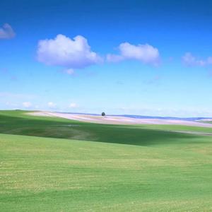 他说他想结婚（0.9）