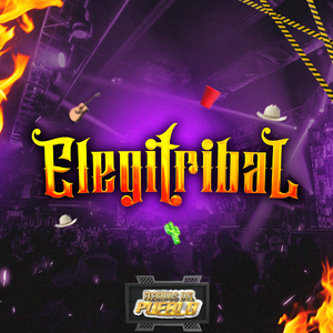 Elegitribal