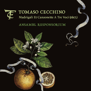 Chiome crespe e dorate