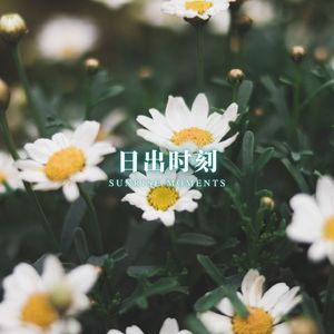 废寝忘食 (纯音乐刷题)