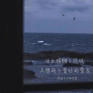 泪水模糊了视线 又想起了曾经的誓言